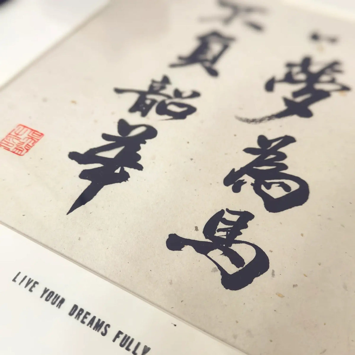 Live Your Dreams Fully – Handmade Chinese Calligraphy Wall Art | FEIverse